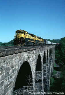NYSW 4024s