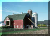 nysw_barn.jpg (81116 bytes)